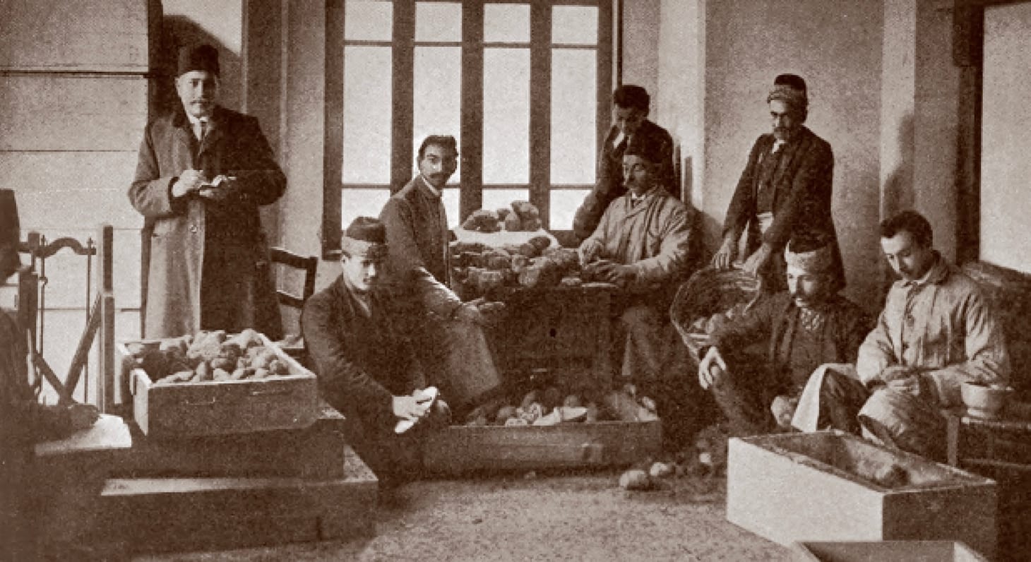 “Freedom of Trade in Opium”: Teaching Opium Production and Trade in the Late Nineteenth Century